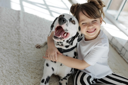 dalmation puppies for sale wichita ks