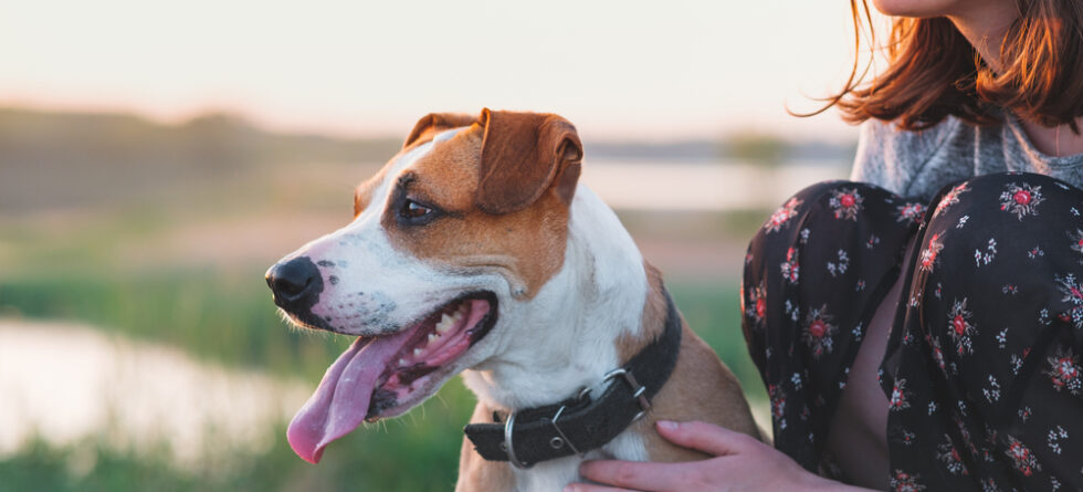 emotional support animal wichita ks