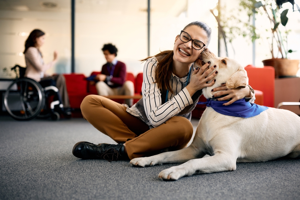 what is a therapy pet