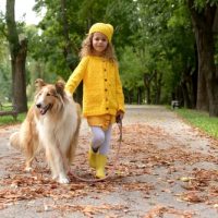 Cute,Little,Toddler,Girl,Playing,With,Family,Dog,In,Park